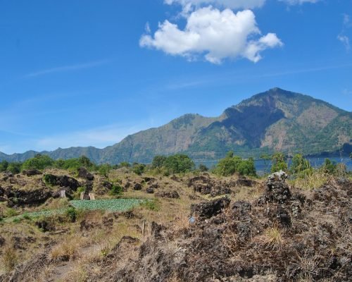 kintamani2 kintamani2
